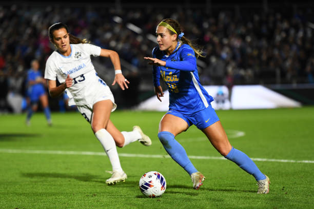 领域表现出 领域表现出